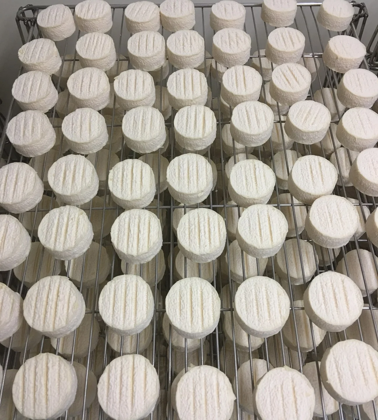 Cabécous sur les claies de l’atelier d’affinage de la Fromagerie des Loubes.