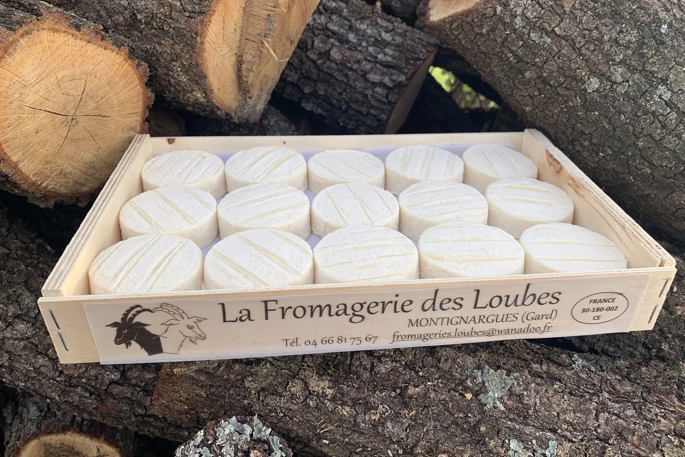 Plateau de quinze cabécous sur des bûches, dans une caisse en bois marquée « La Fromagerie des Loubes, Montignargues (Gard) » et portant l’estampille sanitaire.